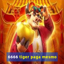 6666 tiger paga mesmo